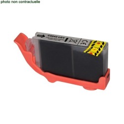 Canon® CLI 42 Light Grey...