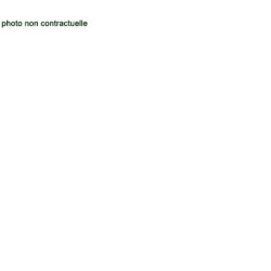 Canon® PGI 9 Light Grey...