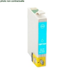 Epson® T0795 Light Cyan...