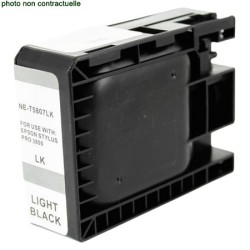 Epson® T5807 Light Black...
